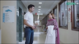 Rahguzar - Episode 24